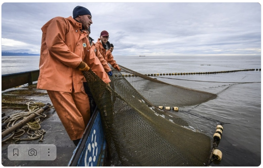 Экспорт российской рыбы за 2023 год расширили на 18 стран