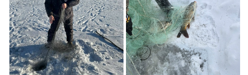 Совместными усилиями: как рыбоохрана и граждане пресекают браконьерство