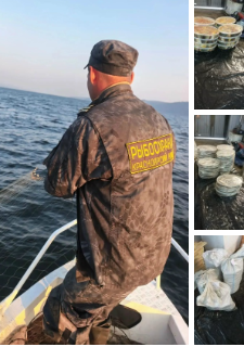 Браконьерский улов в особо крупном размере пресечен в Красноярском крае
