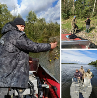 С сегодняшнего дня – запрет на лов хариуса! Итоги недели рейдов на водных объектах Красноярского края
